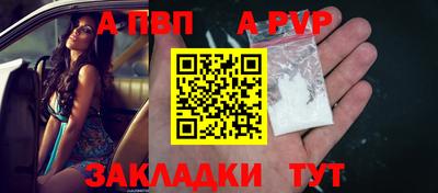 крисы Можга