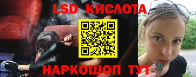 крисы Можга