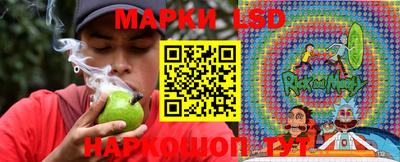 крисы Можга