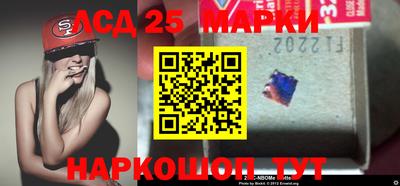 крисы Можга