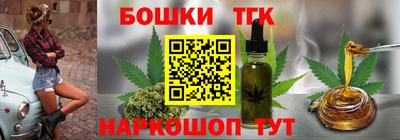 крисы Можга