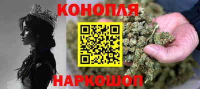 крисы Можга