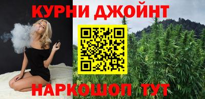 крисы Можга